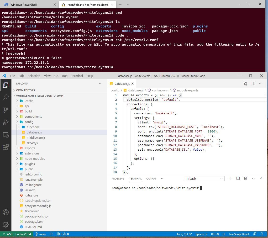 Developing with Strapi on Windows and WSL2